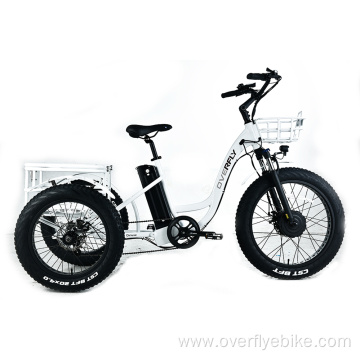 XY-Trio Deluxe electric tricycle for sale
